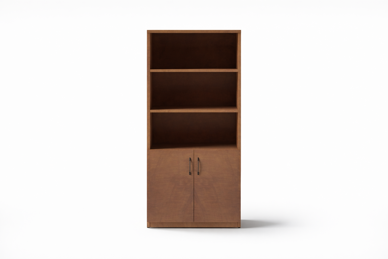 Bookcase with 2 door
