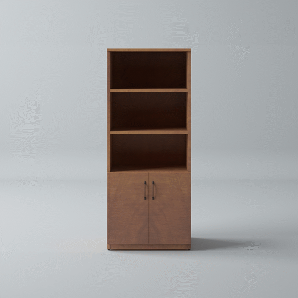 Bookcase with 2 door