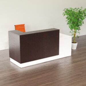 Reception Desk 1
