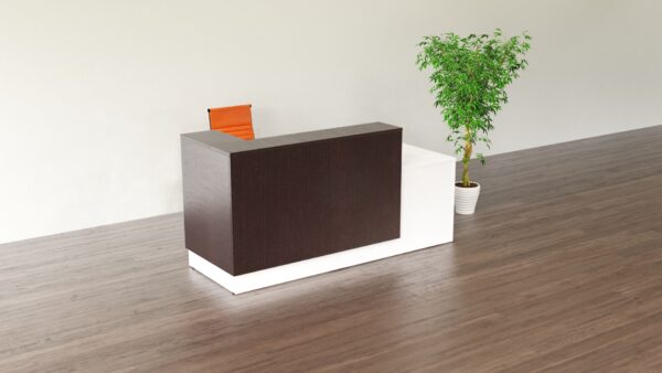Reception Desk 1